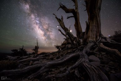 Galaxy-and-Planets-Beyond-Bristlecone-Pines